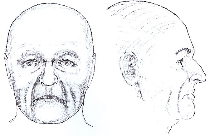 3 Kladruby - kresba.jpg