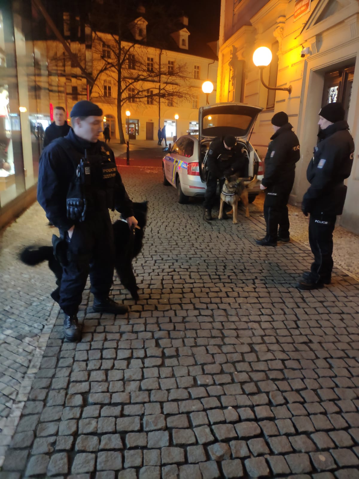 3 Kontroly v centru 3.jpg