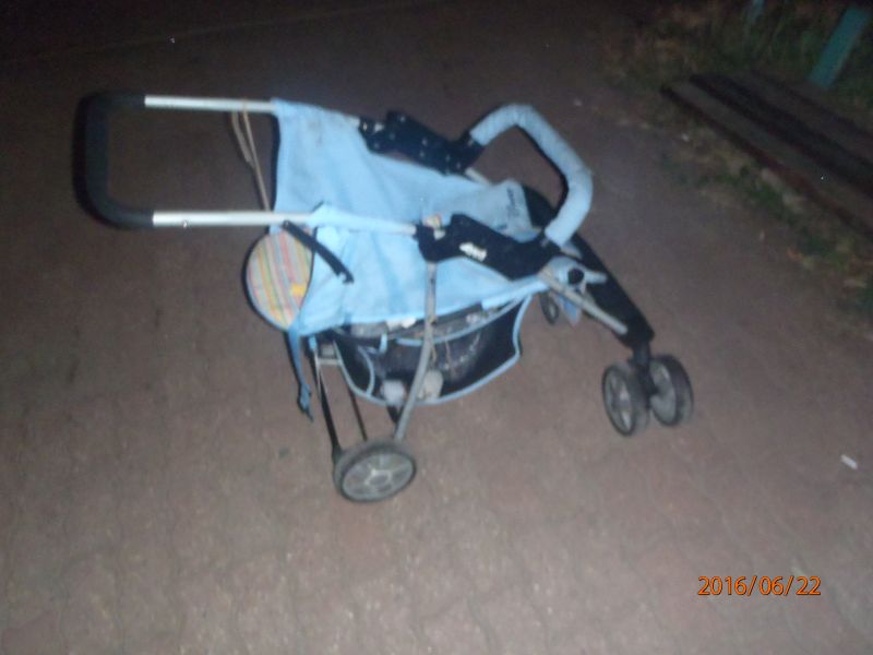 3 P6220223.JPG