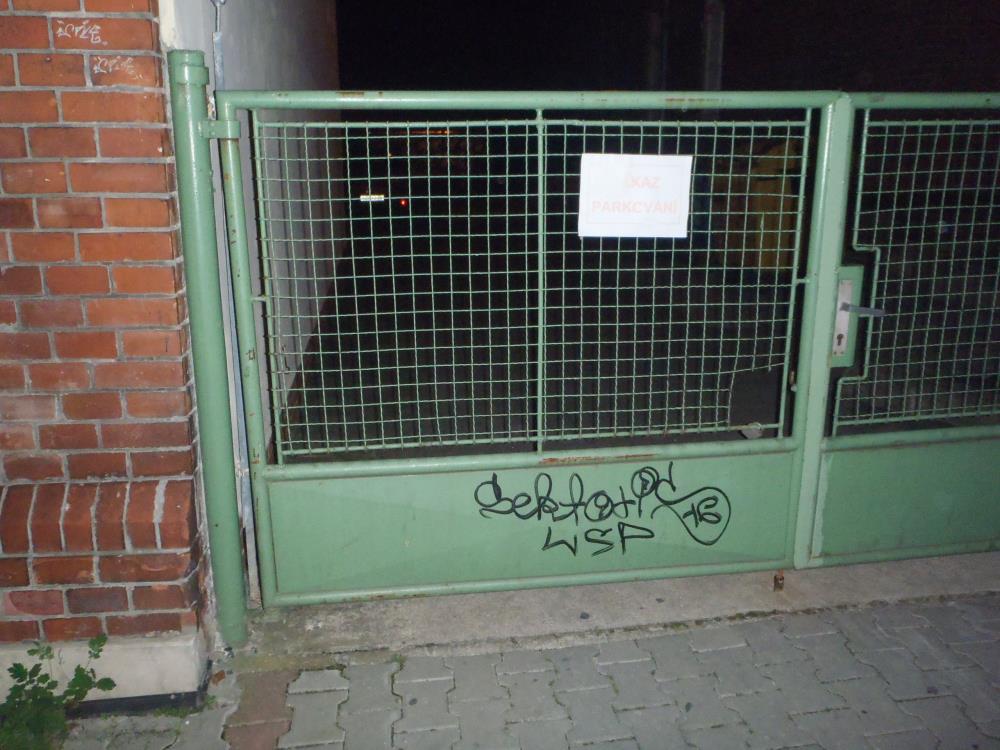 3 P8150121.jpg