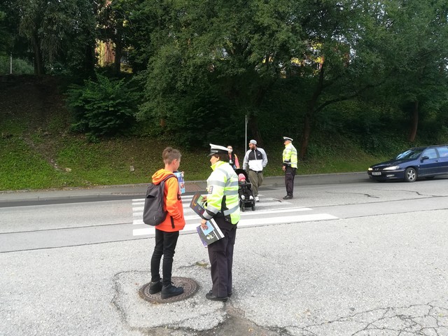 3 Zebra Č. Krumlov září 2020_3.jpg