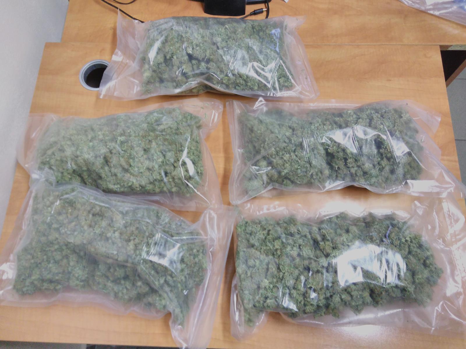 3 zajištěná marihuana (3).jpg