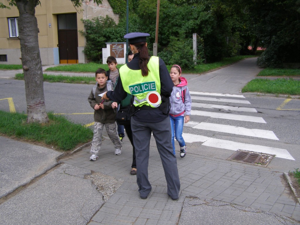 3.JPG