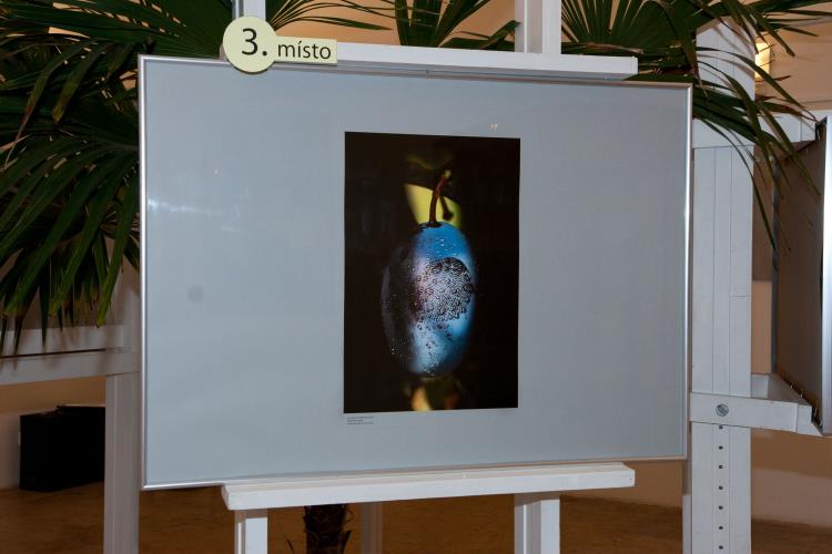 3.místo
