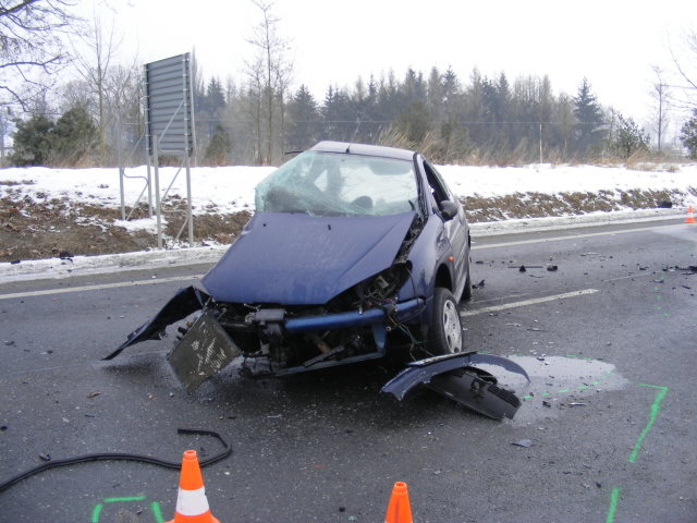 4 DN u Ševětína 25.1.2017 -4.JPG