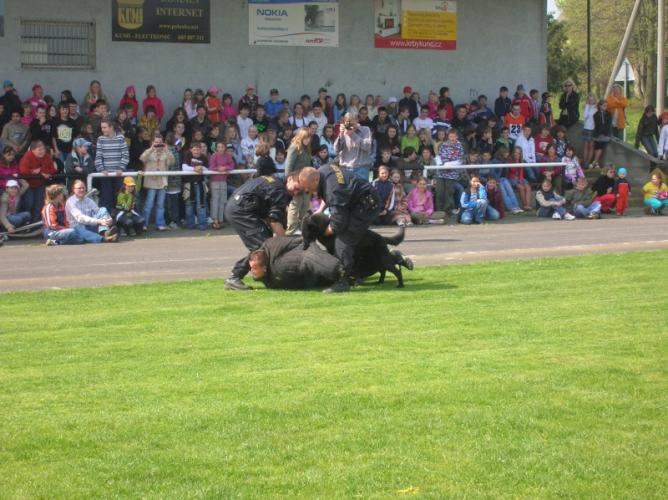 4.Polanka