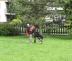 5 DSC00468