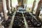 5 Koncert_2024_SAL_2688