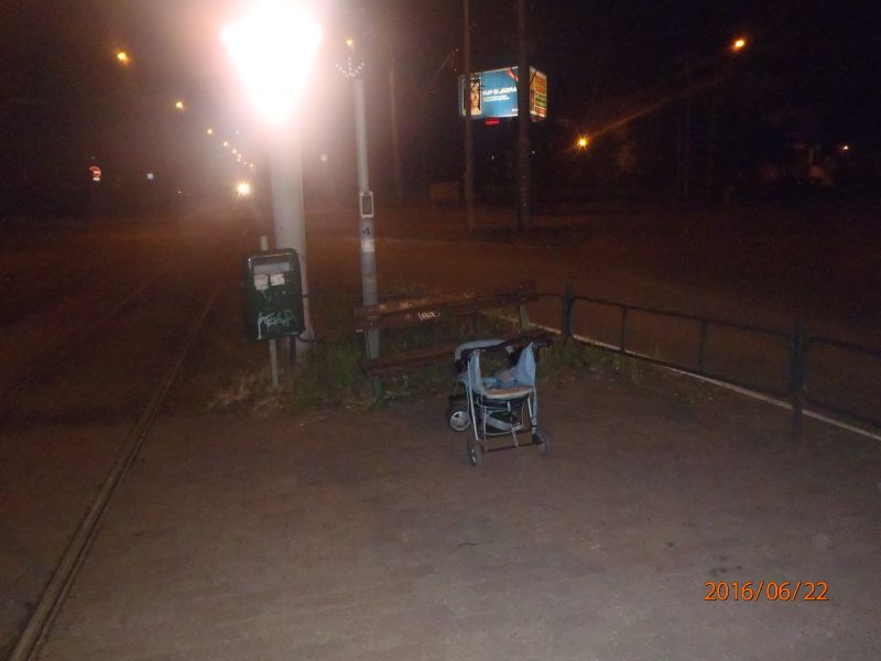 5 P6220219.JPG