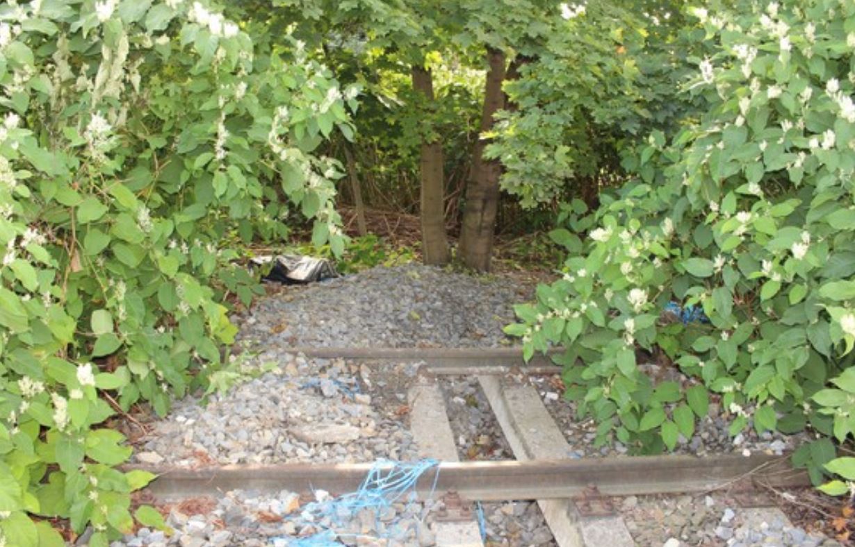 5 foto kabely_5.jpg