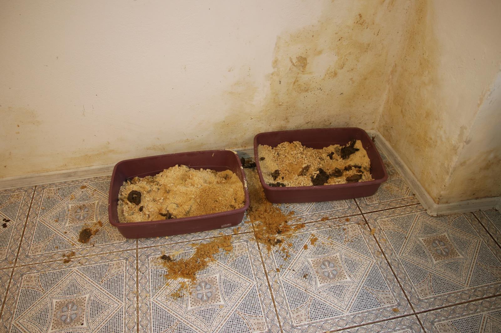 6 10.JPG