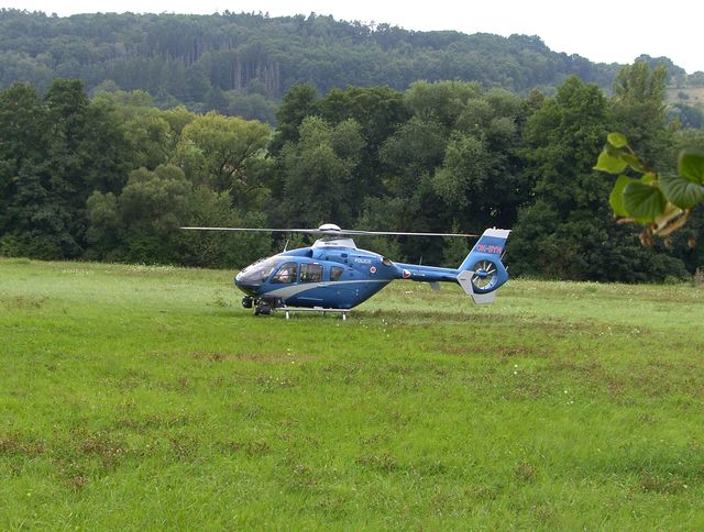 6 8.JPG