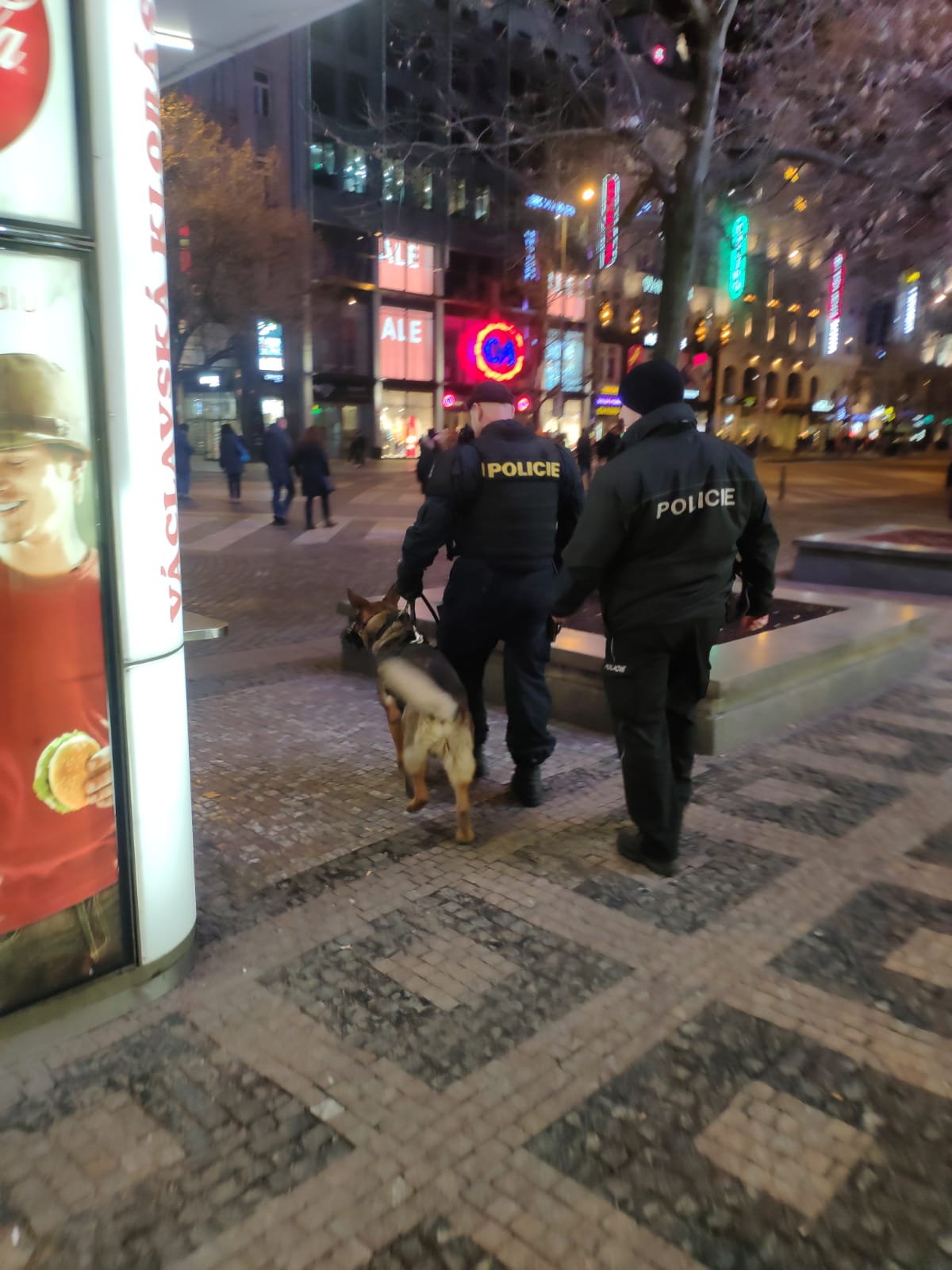 6 Kontroly v centru2.jpg