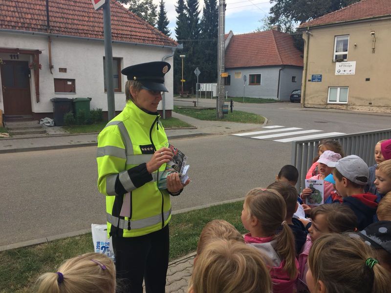 6 Zebra Blažovice6.jpg