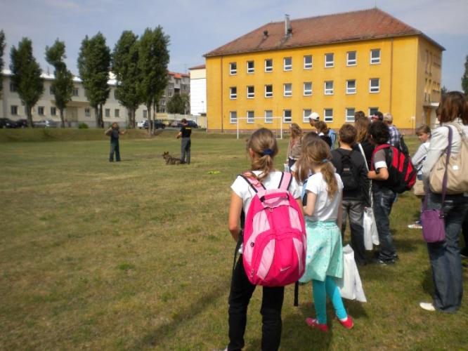 7 - Výcvik služebních psů