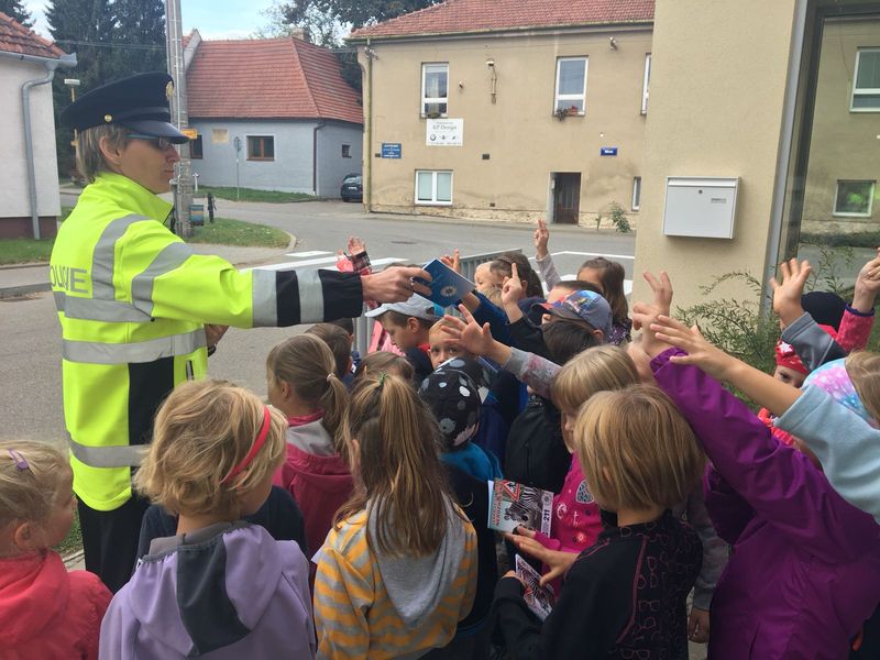 7 Zebra Blažovice7.jpg