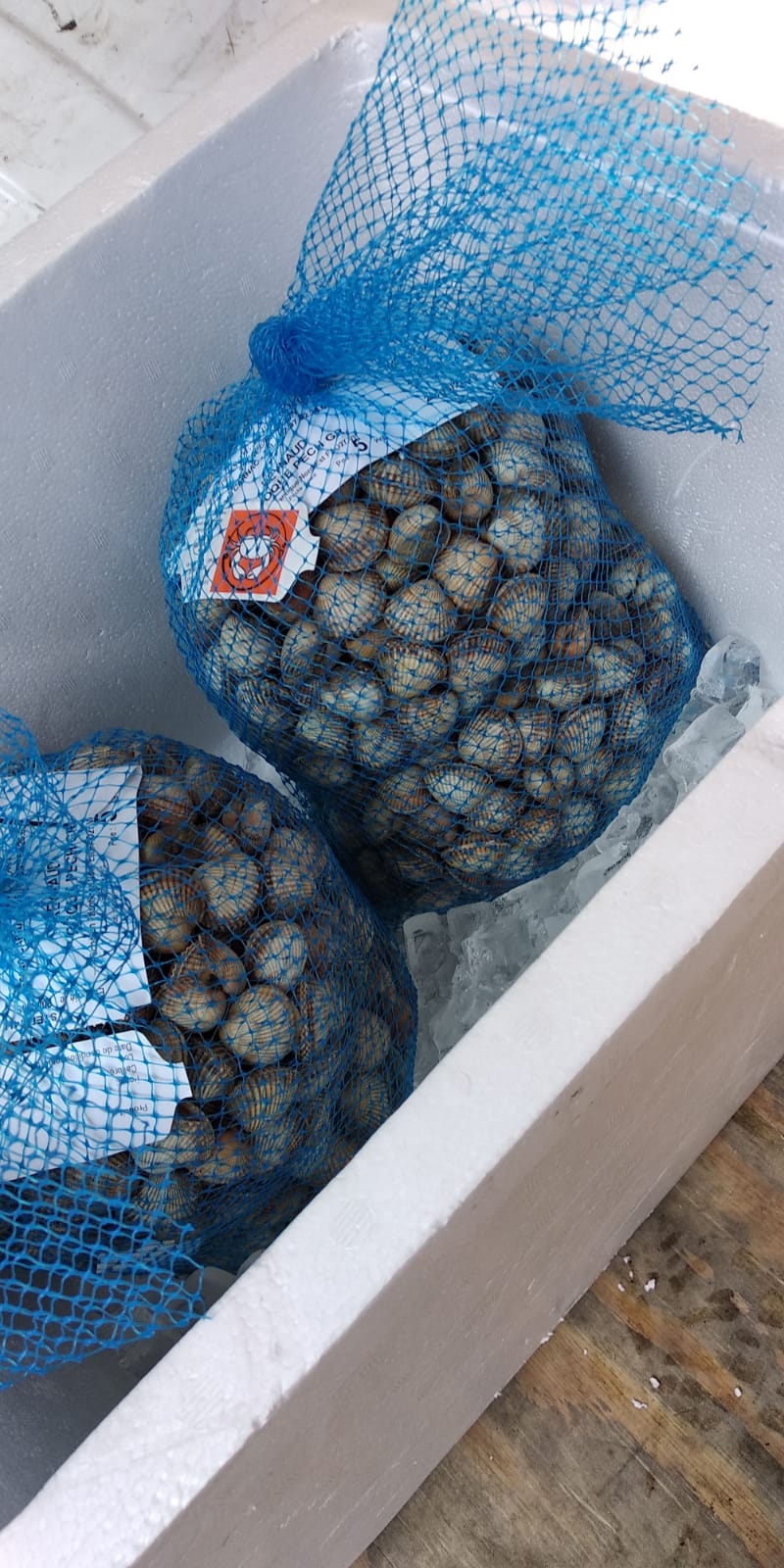 7 kontroly na tržnici (7).jpg