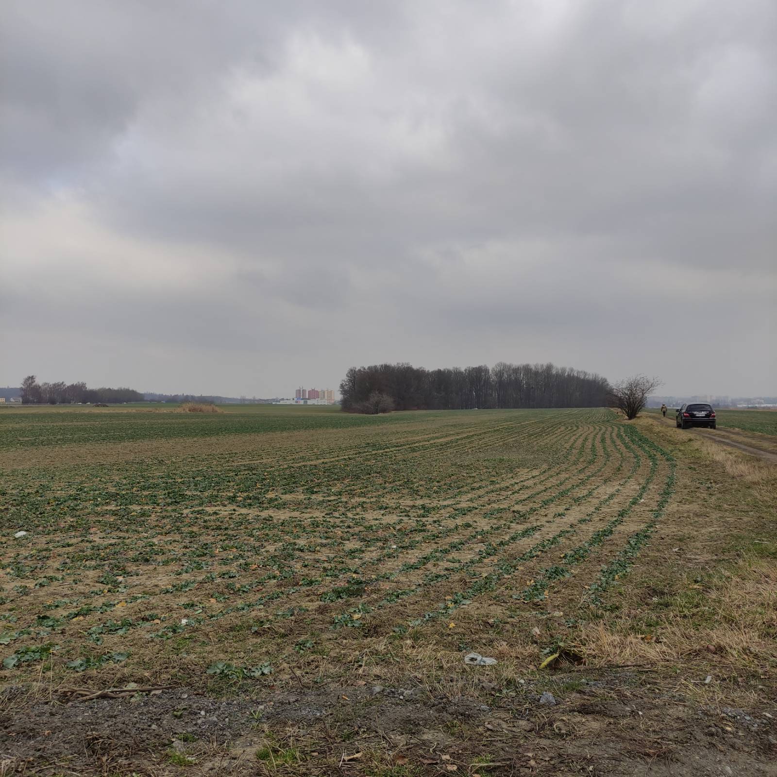 8 foto_1.jpg