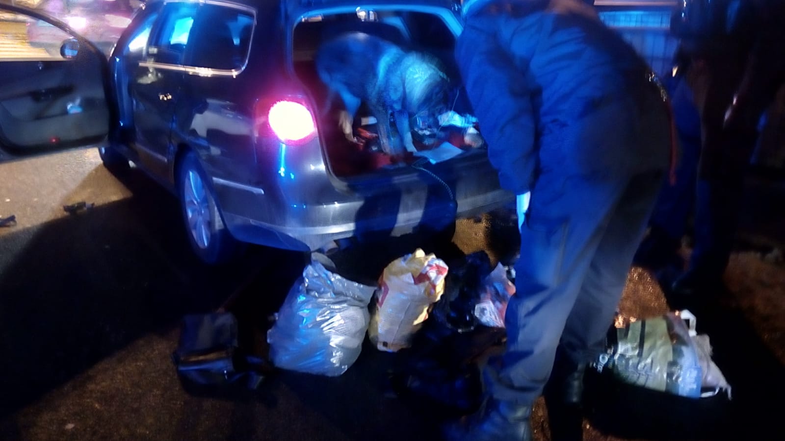 9 Třetí případ - kontrola vozidla psem na přítomnost drog.jpg