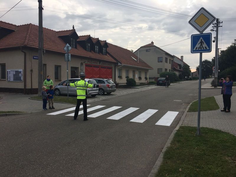 9 Zebra Blažovice9.jpg
