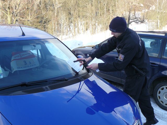 ANT 01.JPG