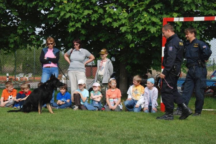 "Ajax" poslušnost