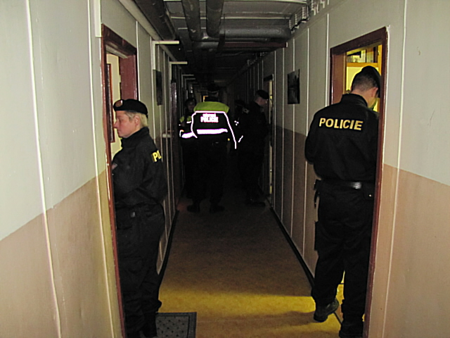 Akce úklid