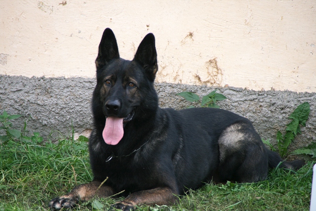 Balková_1.JPG