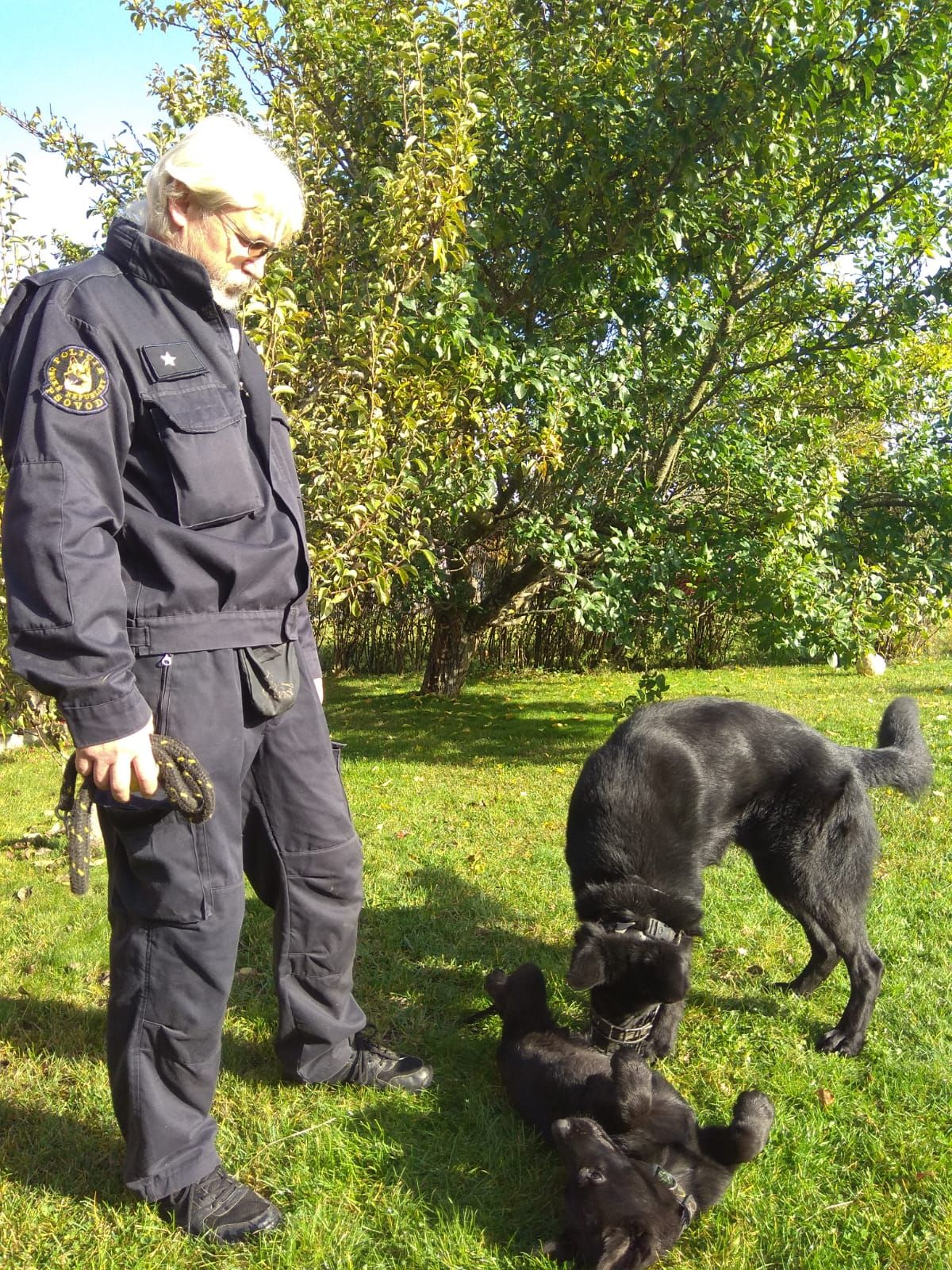 Bárt - policejní štěně