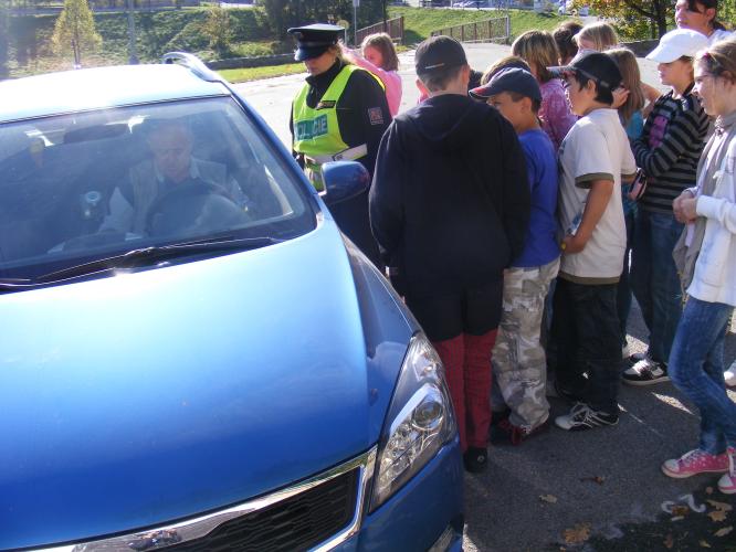 Bezpečně se zebrou 13.jpg