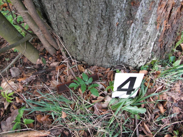 Bohuslavice 28.4.