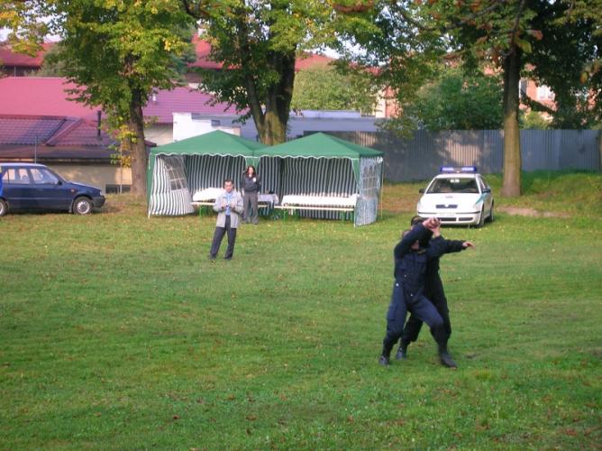 Bojová umění.jpg
