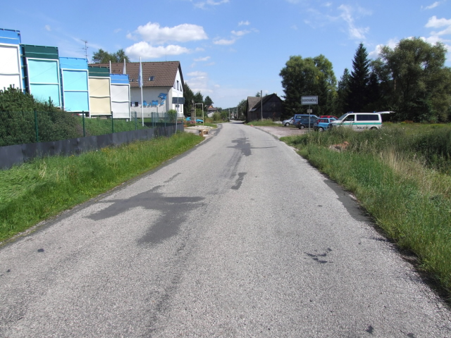 Borovnička1.