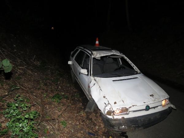 Boršov  1xTZ , 1.81 promile.jpg