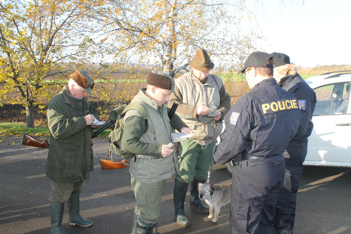 Břeclavsko_3.JPG