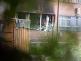 Brusel