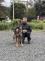 Bublava psi