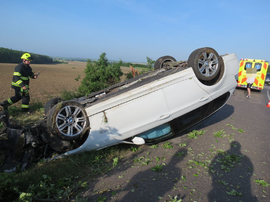 Bukvice - 25.5.2023