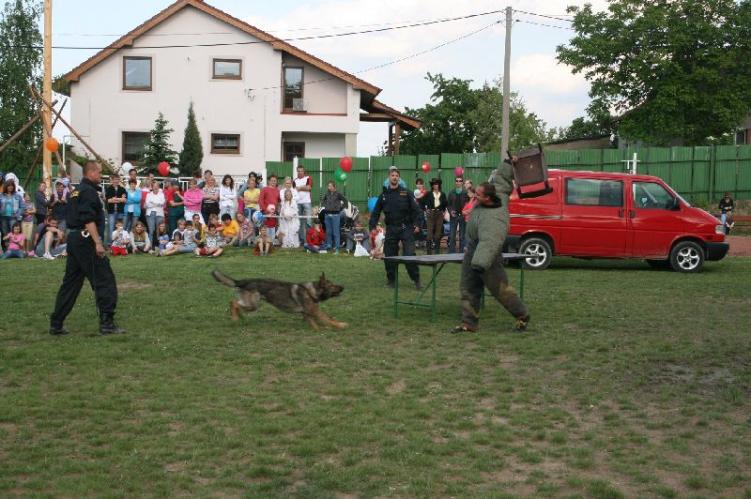 Čavisov