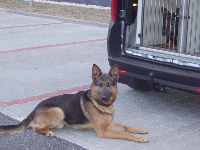 Chiko 1