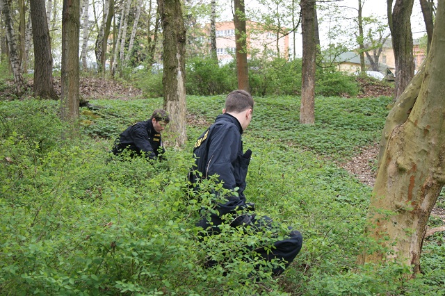 Čistý park 14.JPG