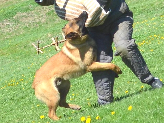 Coudy obranář