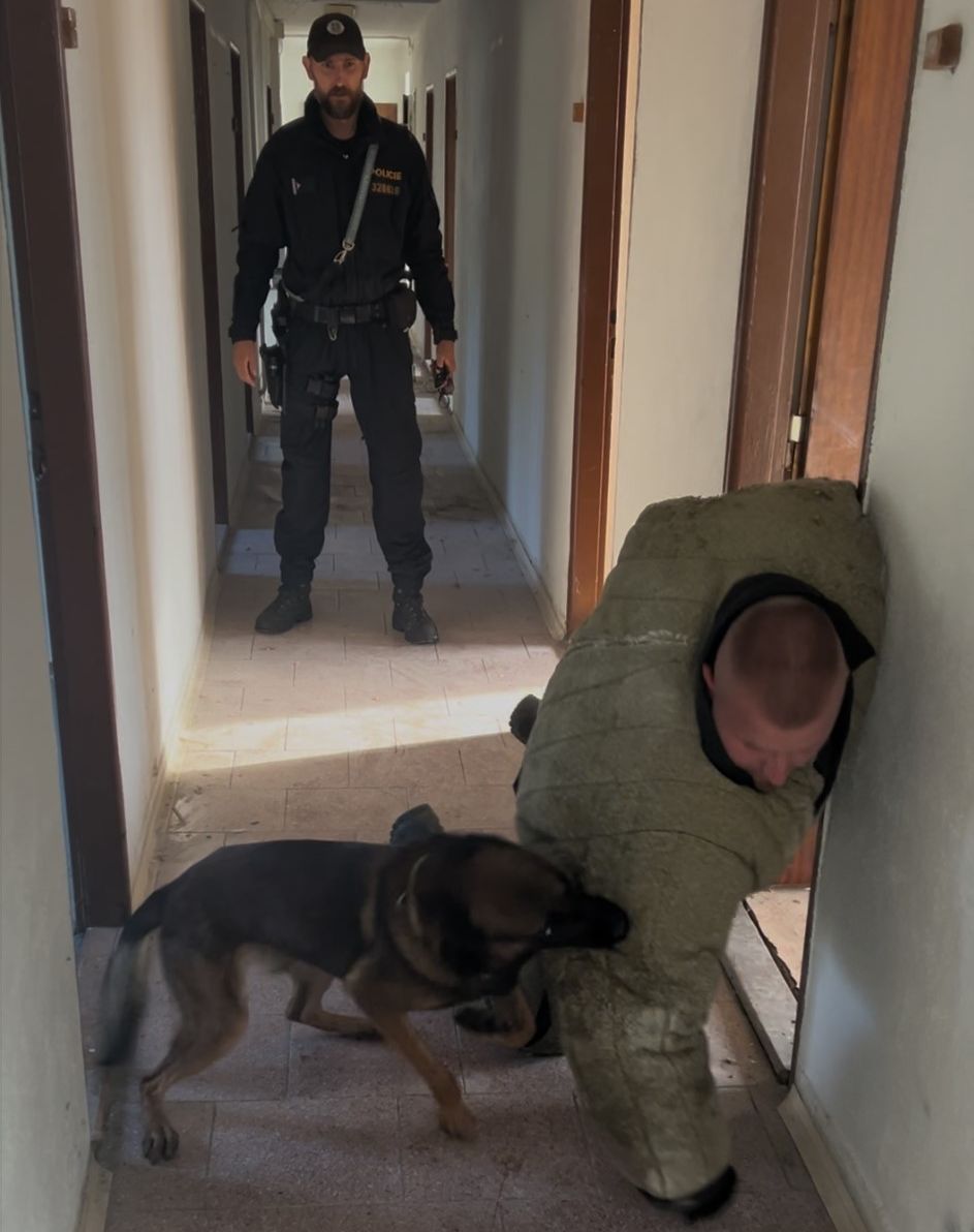 Cvičení 5.jpg