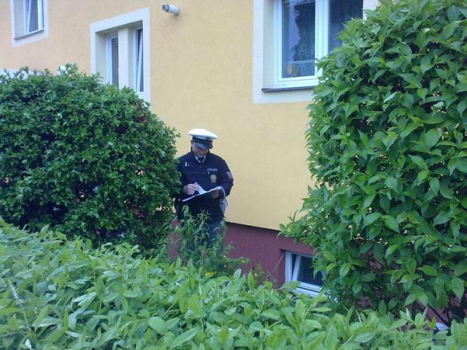 jestlipak si ho děti všimly