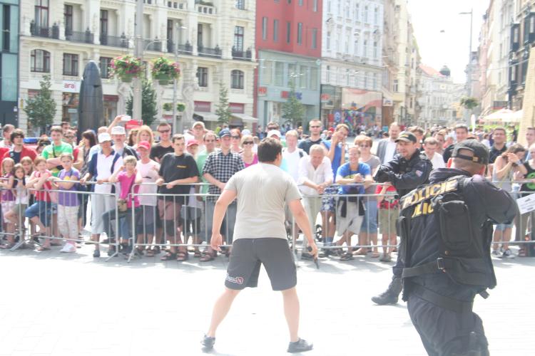 DEN POLICIE (17).jpg
