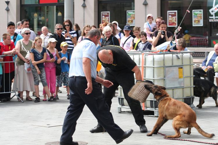 DEN POLICIE (7).jpg