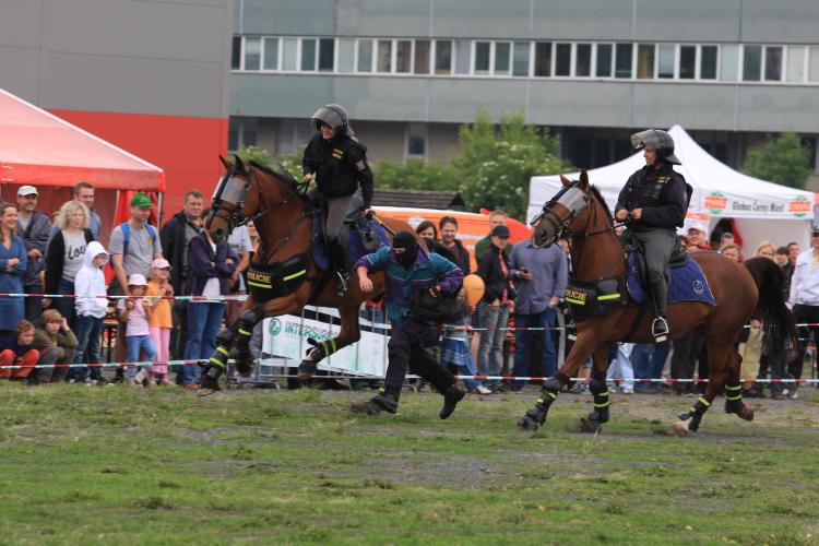 DEN S POLICIÍ