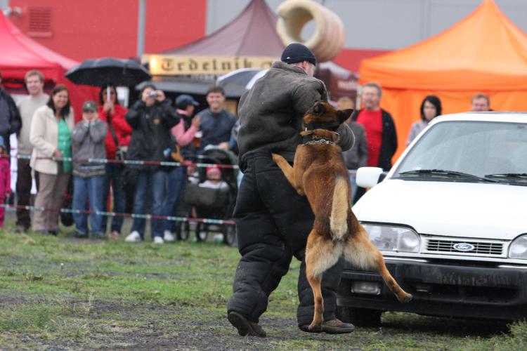 DEN S POLICIÍ