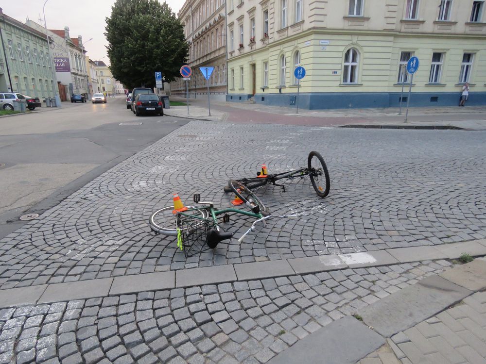 DN Netušilova