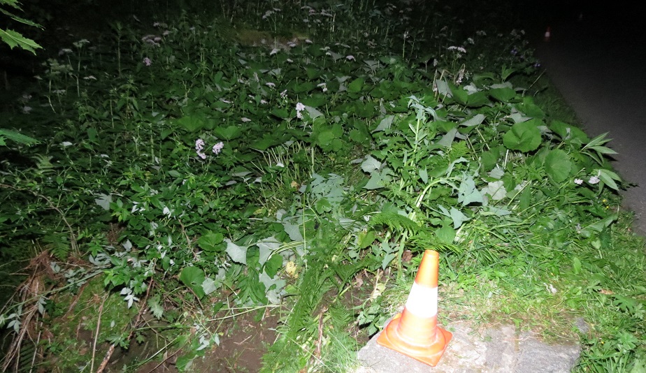 DN - Pec pod Sněžkou.jpg